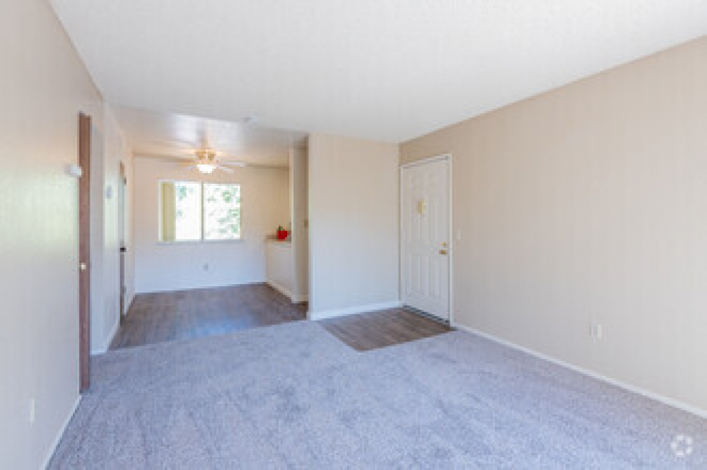 1x1 living room view shot with dining room space